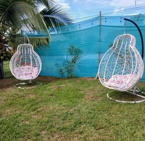 هاستل Hone Sweet Hone