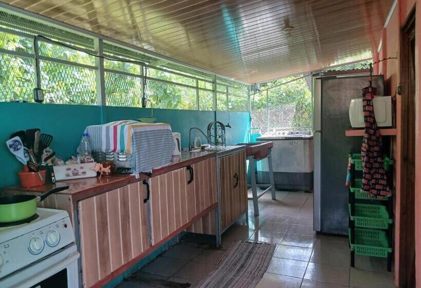 هاستل Hone Sweet Hone