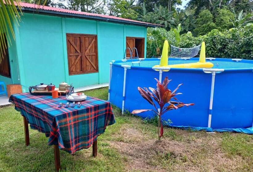 هاستل Hone Sweet Hone