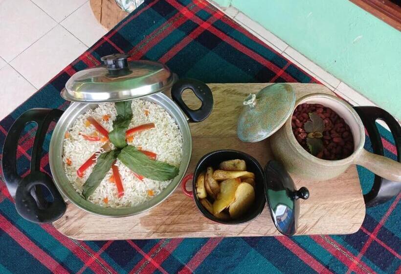 هاستل Hone Sweet Hone