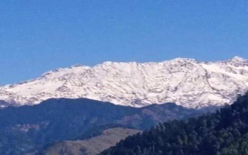 Bed and Breakfast Khwaab The Cottages And Tree House