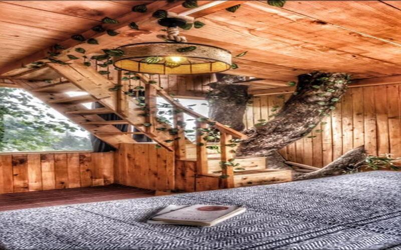 Bed and Breakfast Khwaab The Cottages And Tree House