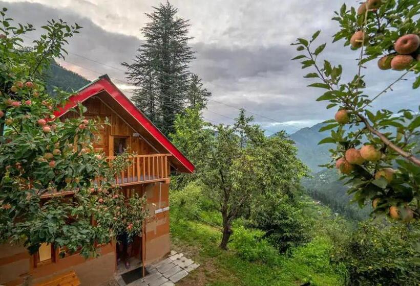 Bed and Breakfast Khwaab The Cottages And Tree House