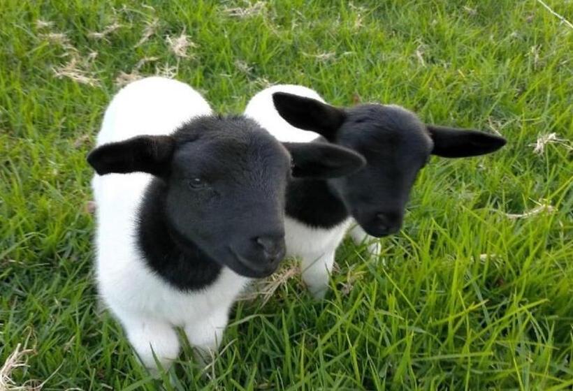 Отель Henkley Cottage 3 Ezekiel