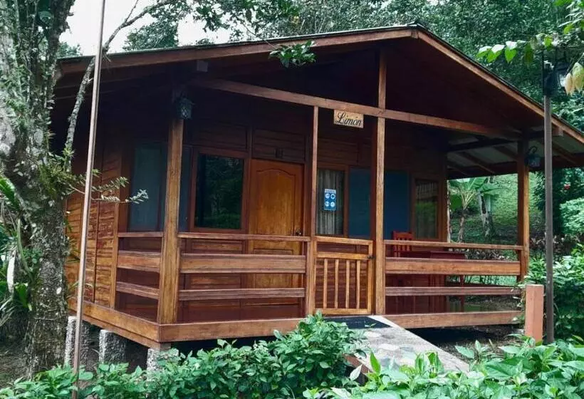 ホテル Hosteria Madera Fina