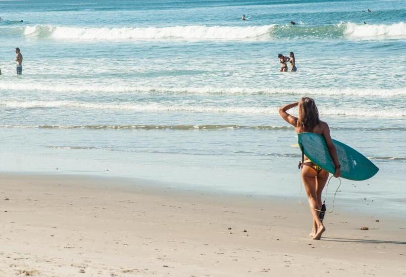 هتل Peace Lofts And Apartments