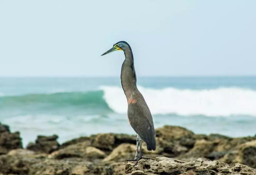 Hotelli Peace Lofts And Apartments