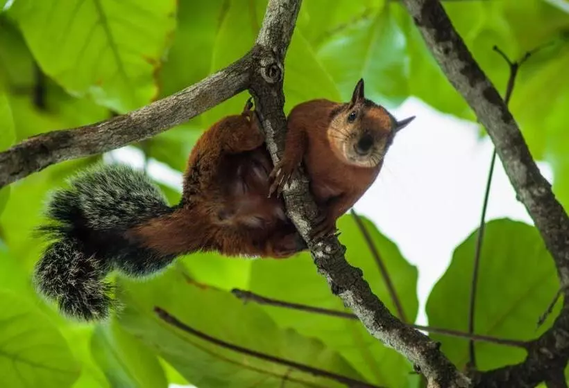 Hotelli Peace Lofts And Apartments