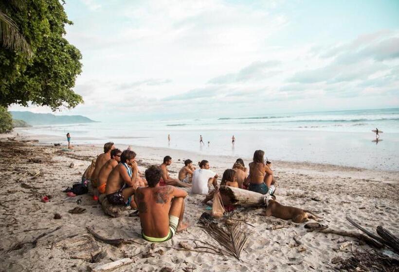 هتل Peace Lofts And Apartments