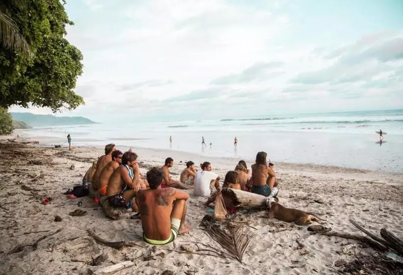 Hotelli Peace Lofts And Apartments