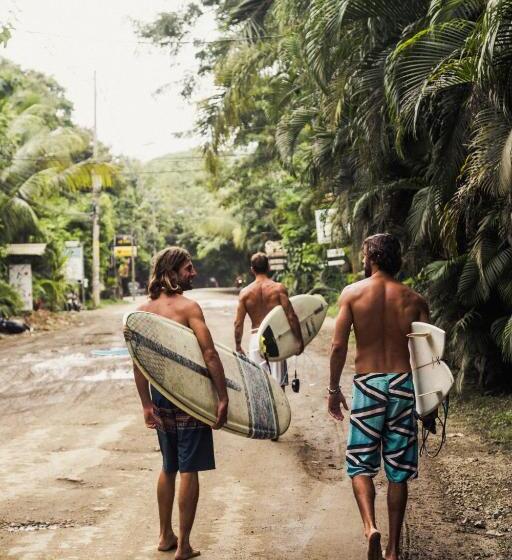 هتل Peace Lofts And Apartments
