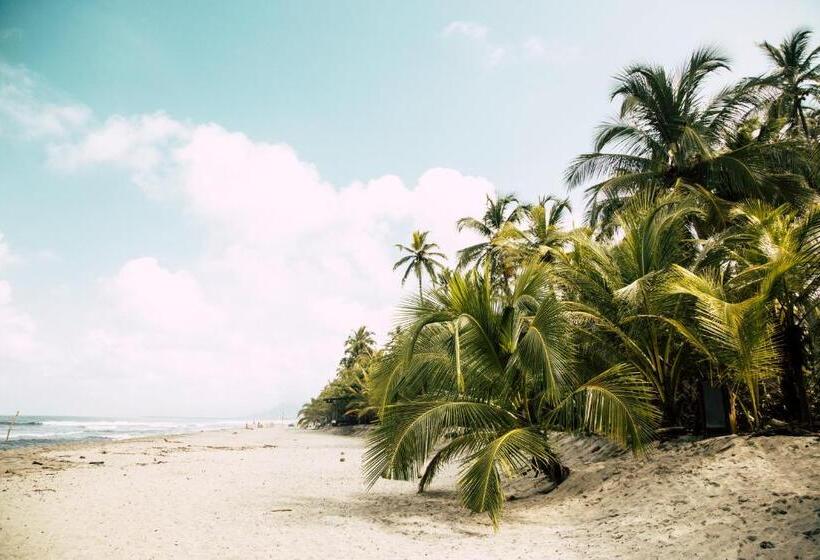 هتل Peace Lofts And Apartments