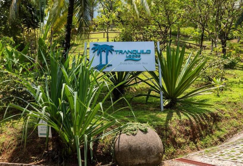 Hotel The Tranquilo Lodge, Adult Only, All Meals Included