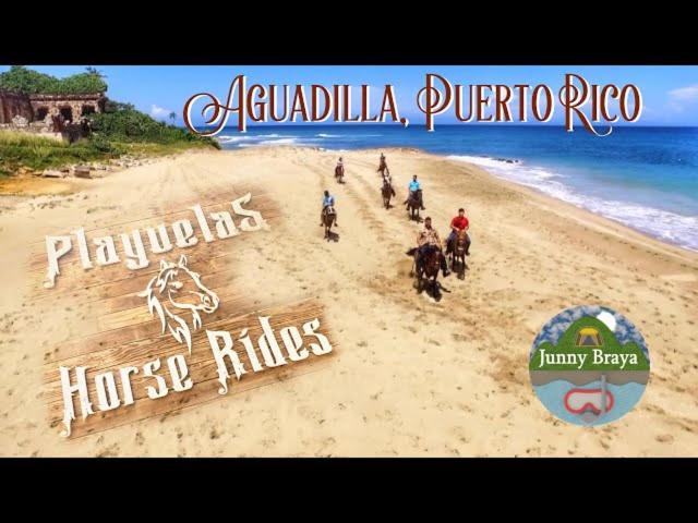 پانسیون 2 Palmas Str