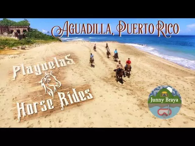 پانسیون 2 Palmas Str