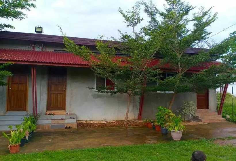 ペンション Yfs Guesthouse With Motorbike