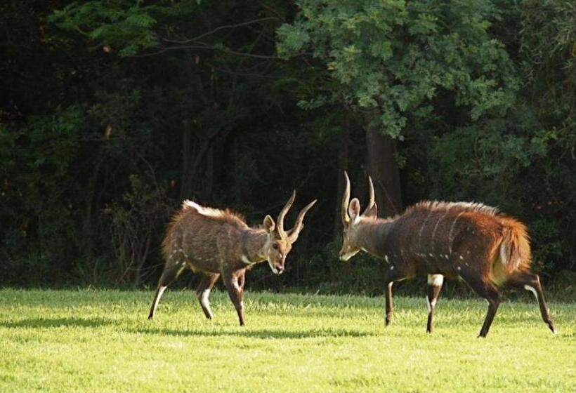 منتجع Unit H011 Magalies Park Hartbeespoort