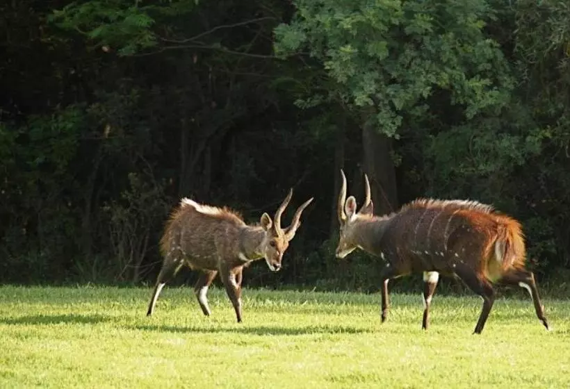 リゾートホテル Unit H011 Magalies Park Hartbeespoort