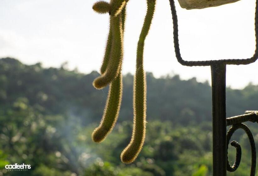 The Family Resthouse And Resort