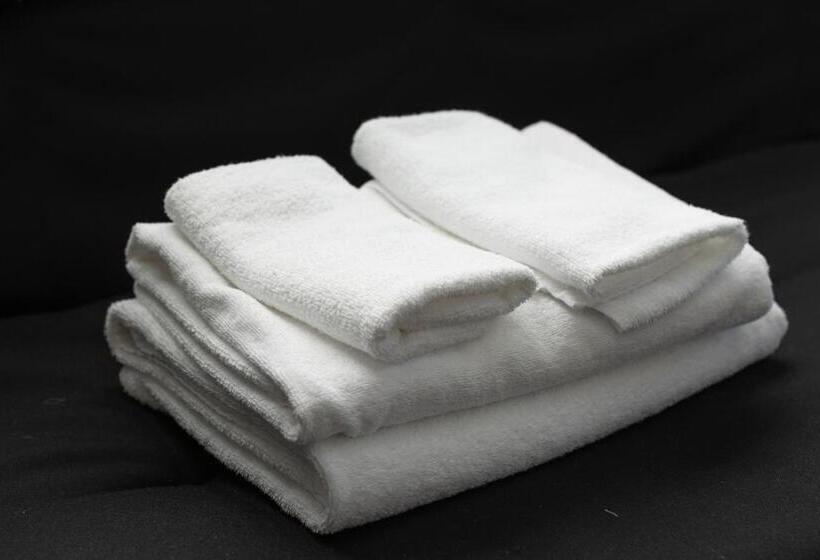 67hotel秋葉原 Direct To Haneda 成田空港 羽田空港直通