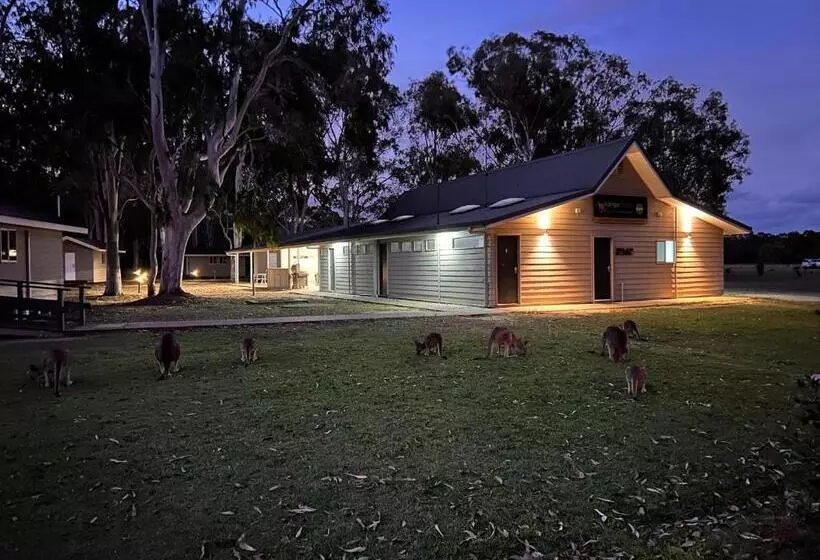 Retkeilymaja Kangarooms Noosa Everglades Yha