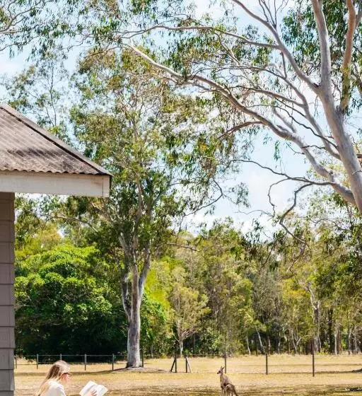 Retkeilymaja Kangarooms Noosa Everglades Yha
