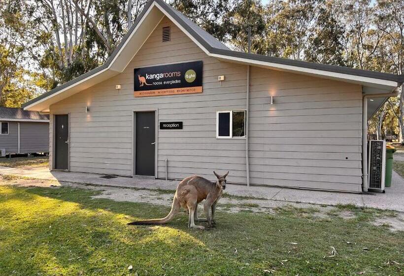 הוסטל Kangarooms Noosa Everglades Yha