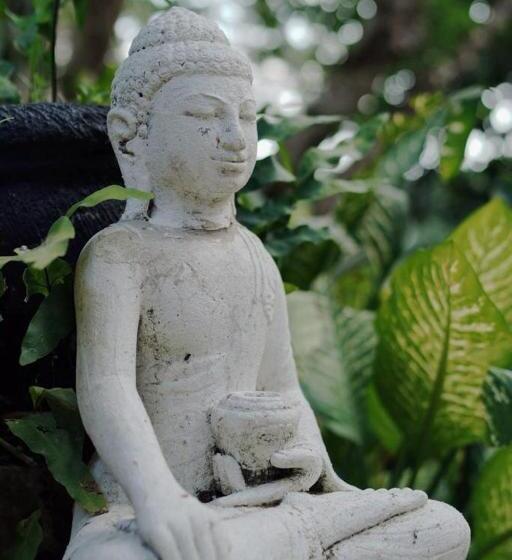 旅馆 Sattva Yoga Retreat Villas