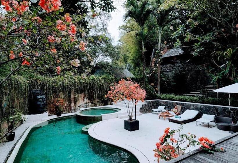 旅馆 Sattva Yoga Retreat Villas