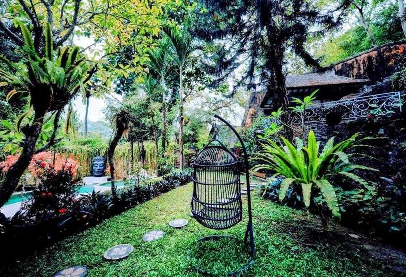 旅馆 Sattva Yoga Retreat Villas