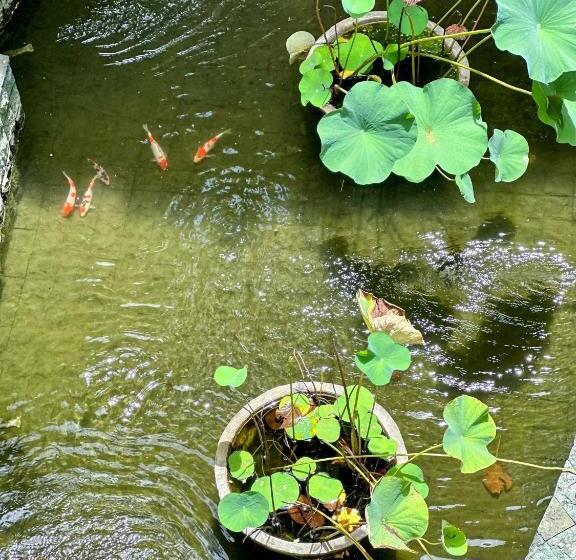 旅馆 Sattva Yoga Retreat Villas