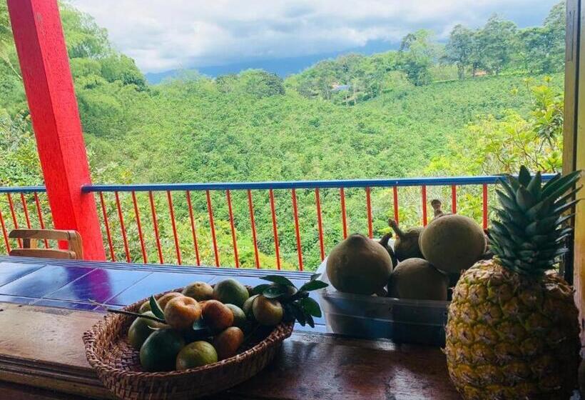 Finca Hotel Calle Jardin