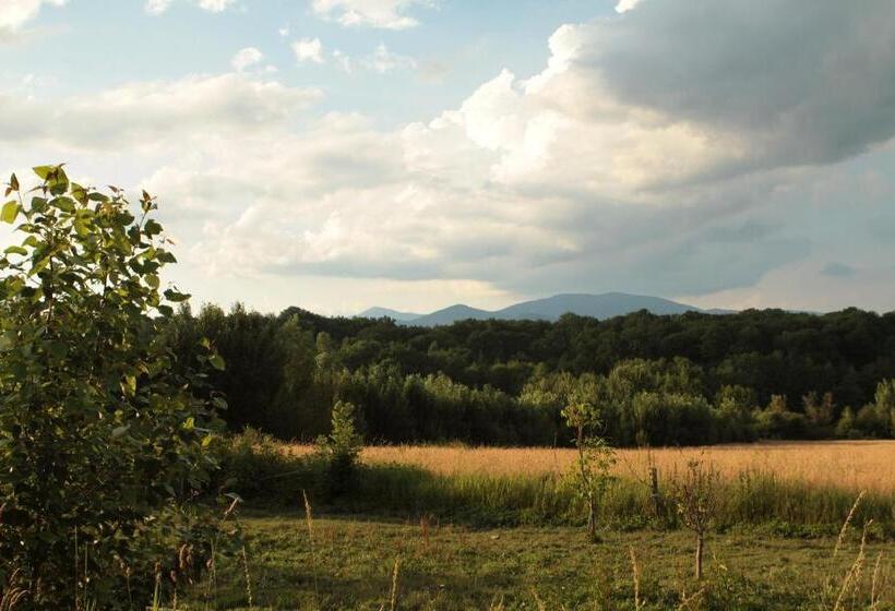 فندق Hôtel Du Domaine Saint Loup