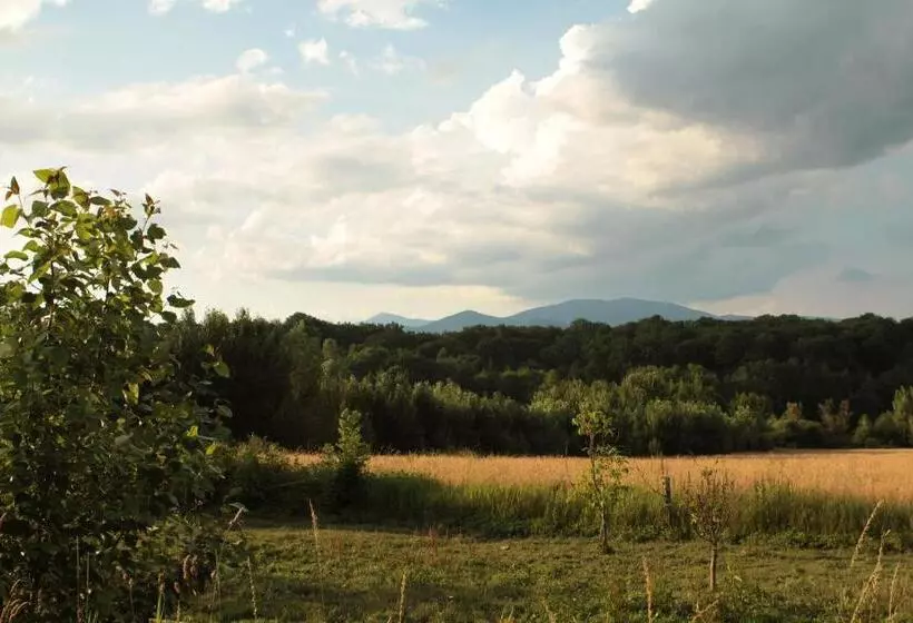 Hotelli Hôtel Du Domaine Saint Loup