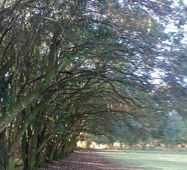 هتل & Pousada Rancho Bicho Solto