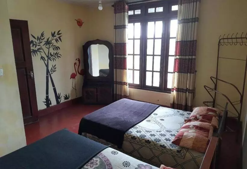 هاستل Green Villa