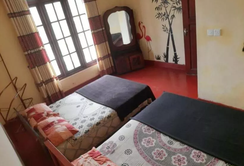 هاستل Green Villa