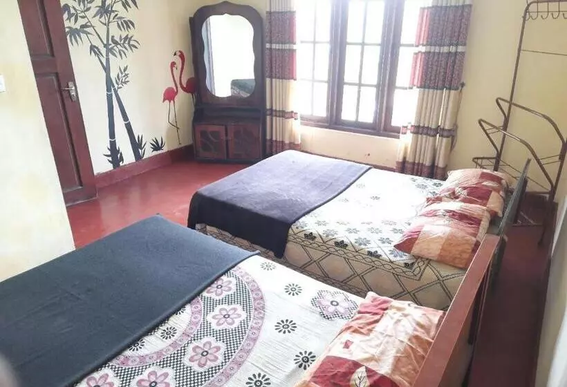 هاستل Green Villa