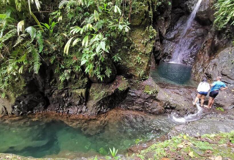 هاستل Hostal Herping Bahia Solano Tour