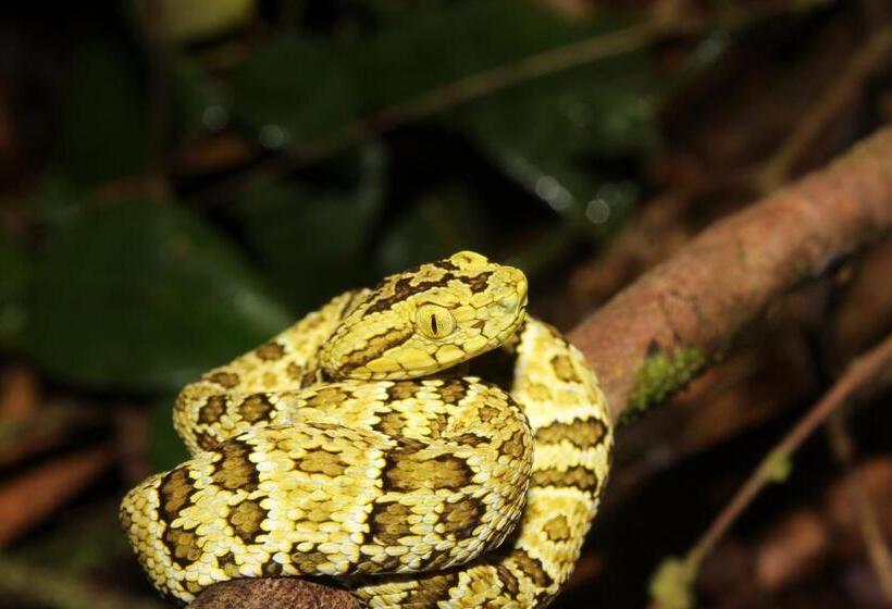 هاستل Hostal Herping Bahia Solano Tour