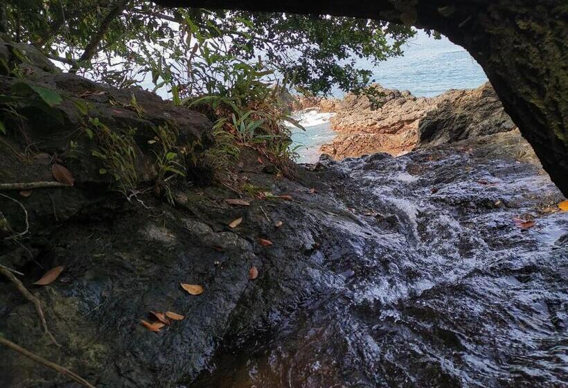 هاستل Hostal Herping Bahia Solano Tour