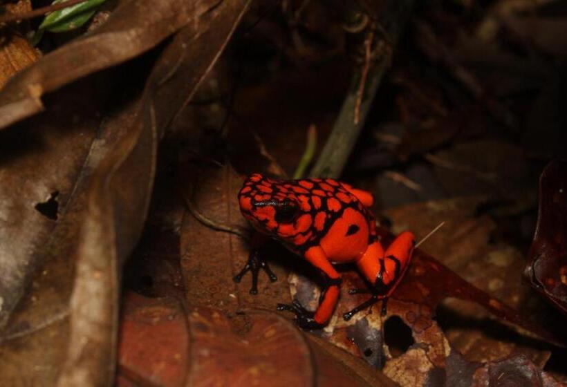 هاستل Hostal Herping Bahia Solano Tour