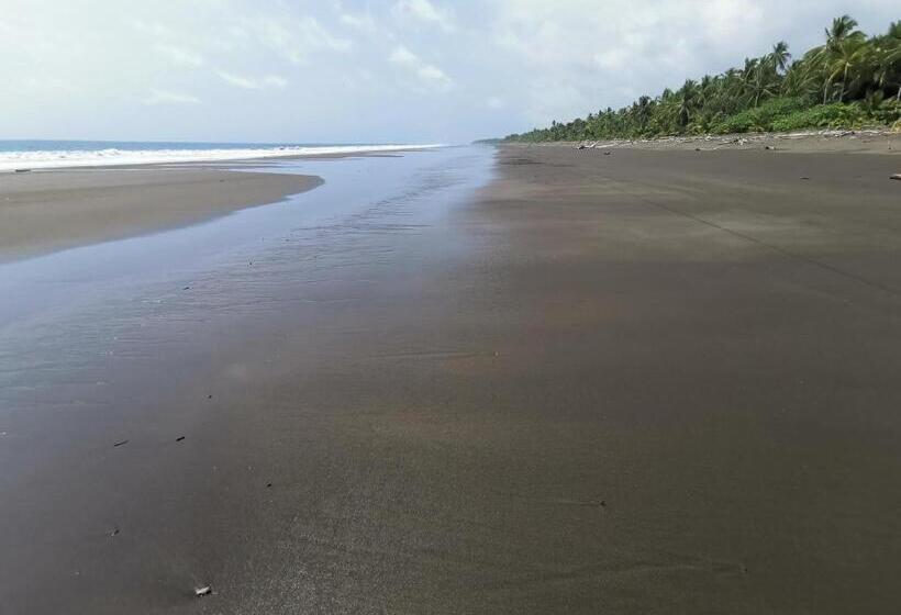 هاستل Hostal Herping Bahia Solano Tour