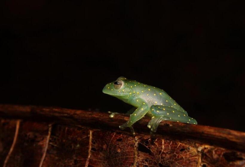 هاستل Hostal Herping Bahia Solano Tour