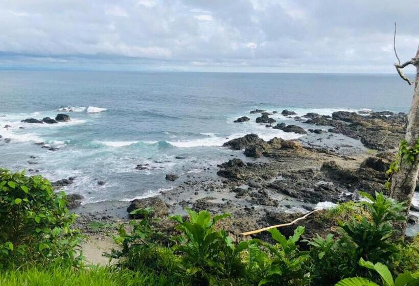 هاستل Hostal Herping Bahia Solano Tour