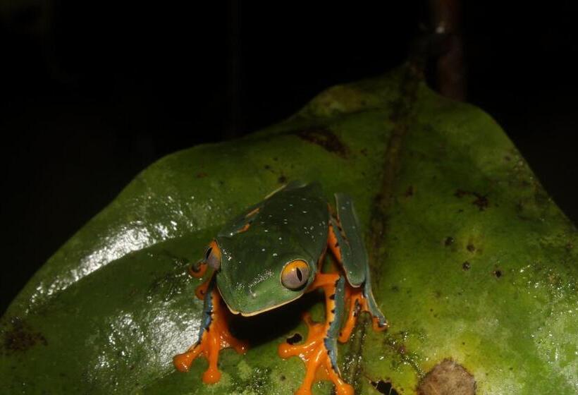 هاستل Hostal Herping Bahia Solano Tour