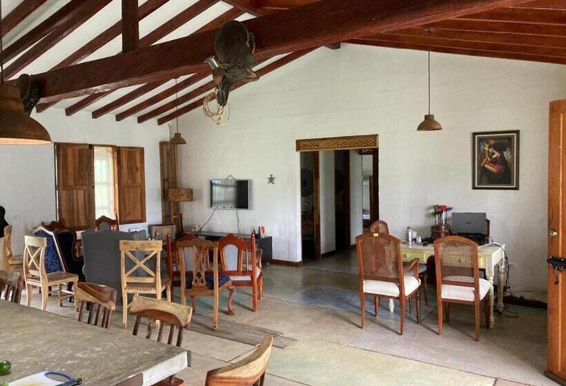 فندق صغير Spanglish Colombia