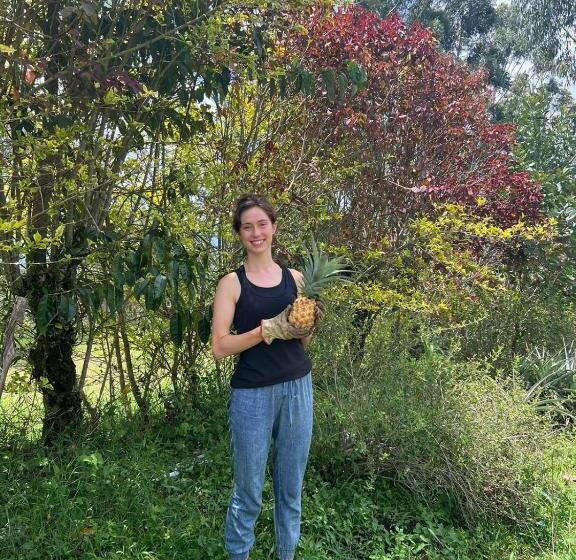 فندق صغير Spanglish Colombia