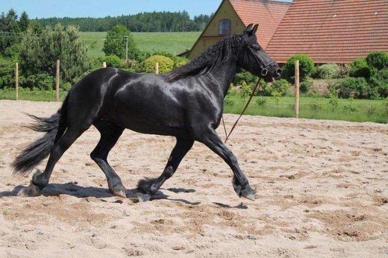 Apartmány Malé Náměstí, Broumov