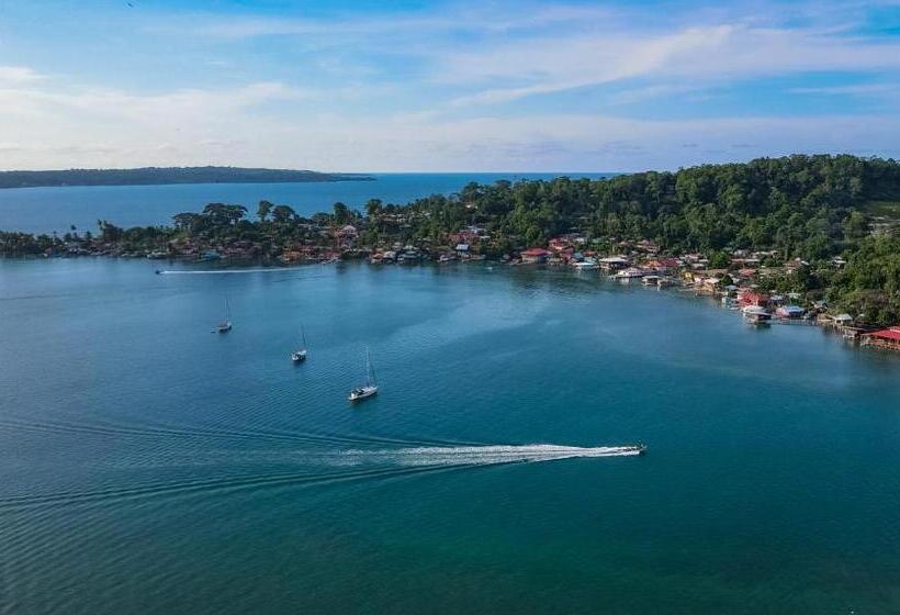 تختخواب و صبحانه The Lodge At Punta Rica Hilltop Eco Lodge With Views & Pool